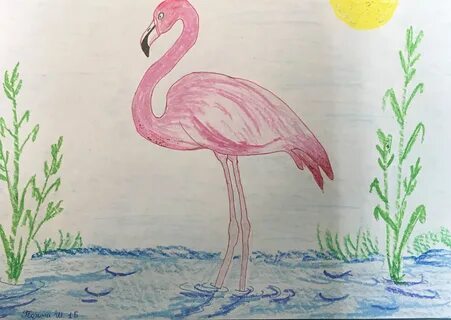 Нарисовать растения и животные из красной книги