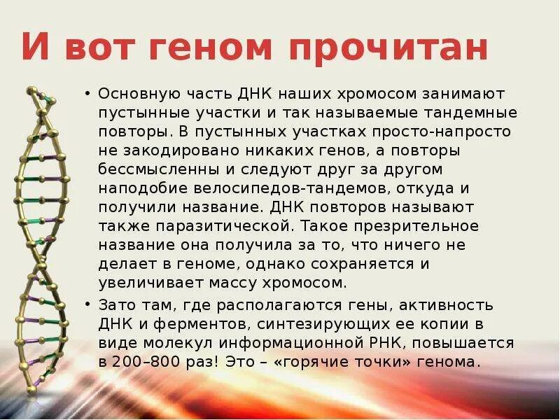 Человеческая днк. Днк расшифровка простыми словами. Расшифровали структуру днк. Днк расшифровка. ).
