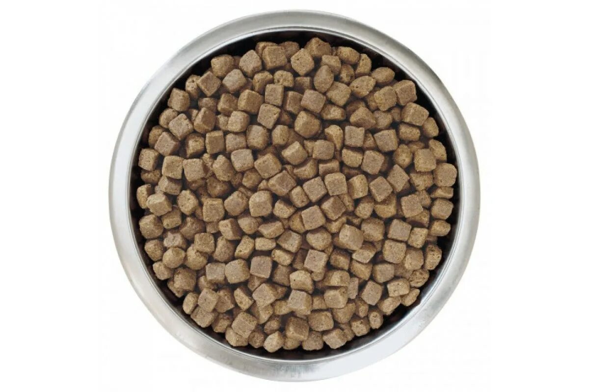 Монж корм для котят сухой. 100 гр сухого корма для кошек. Now natural holistic для собак. Как выглядит сухой корм. Гранулы корма для собак.