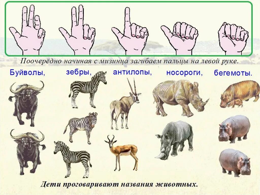 Планирование жаркие страны старшая группа. Пальчиковая гимнастика животные жарких стран. Пальчиковаяя гимнастика животные жарких стан. Пальчиковая гимнастика животные жарких стан. Задания животные жаркие страны.