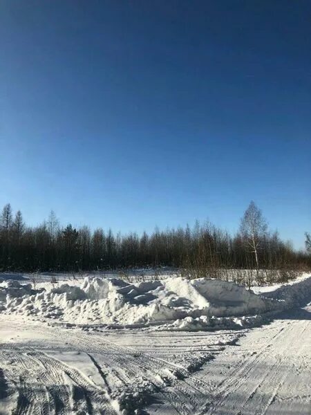 Погода монетный березовский