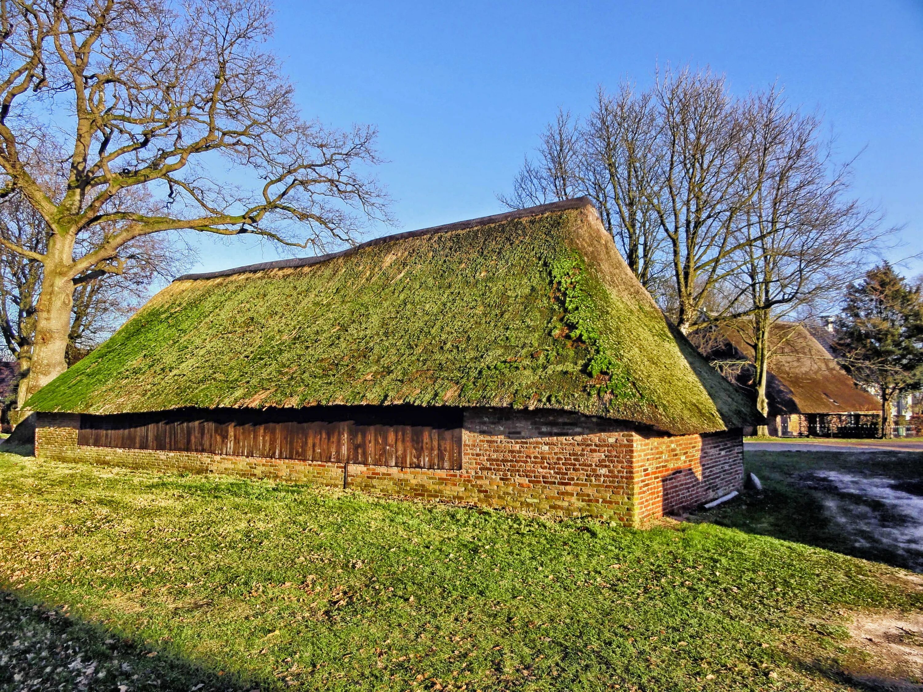 Соломенная крыша. Домик с соломенной крышей. Голландский дом с соломенной крышей. Соломенные крыши в Нидерландах.