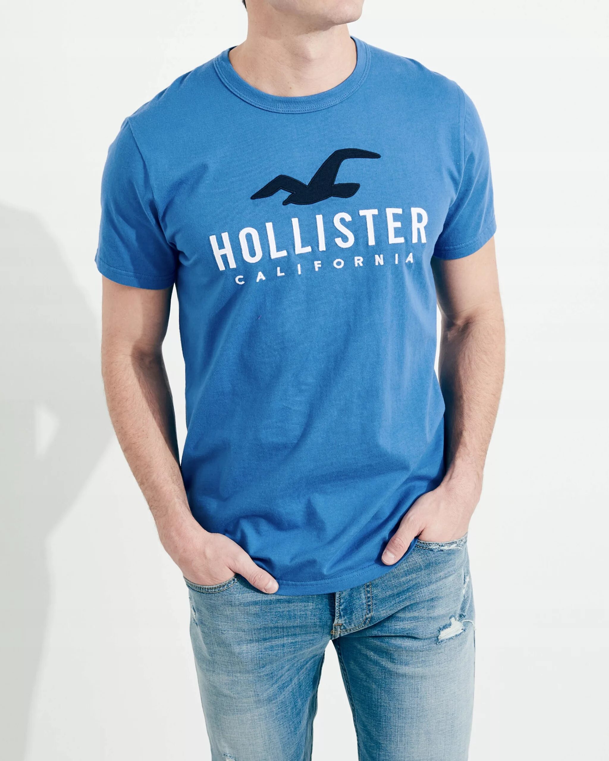 Фирма холлистер. Hollister одежда. Hollister одежда мужская. Hollister одежда толстовка. Hollister одежда футболки.
