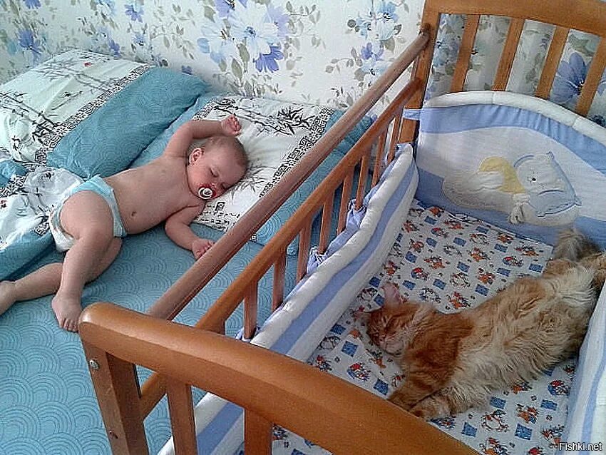 Ребенок в кроватке. Кроватка для новорожденного. Спящие малыши. Сидим месяц дома