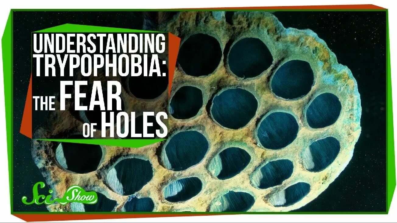 Her little hole. Her little hole. Her little hole. To mend to fix. Her little hole.