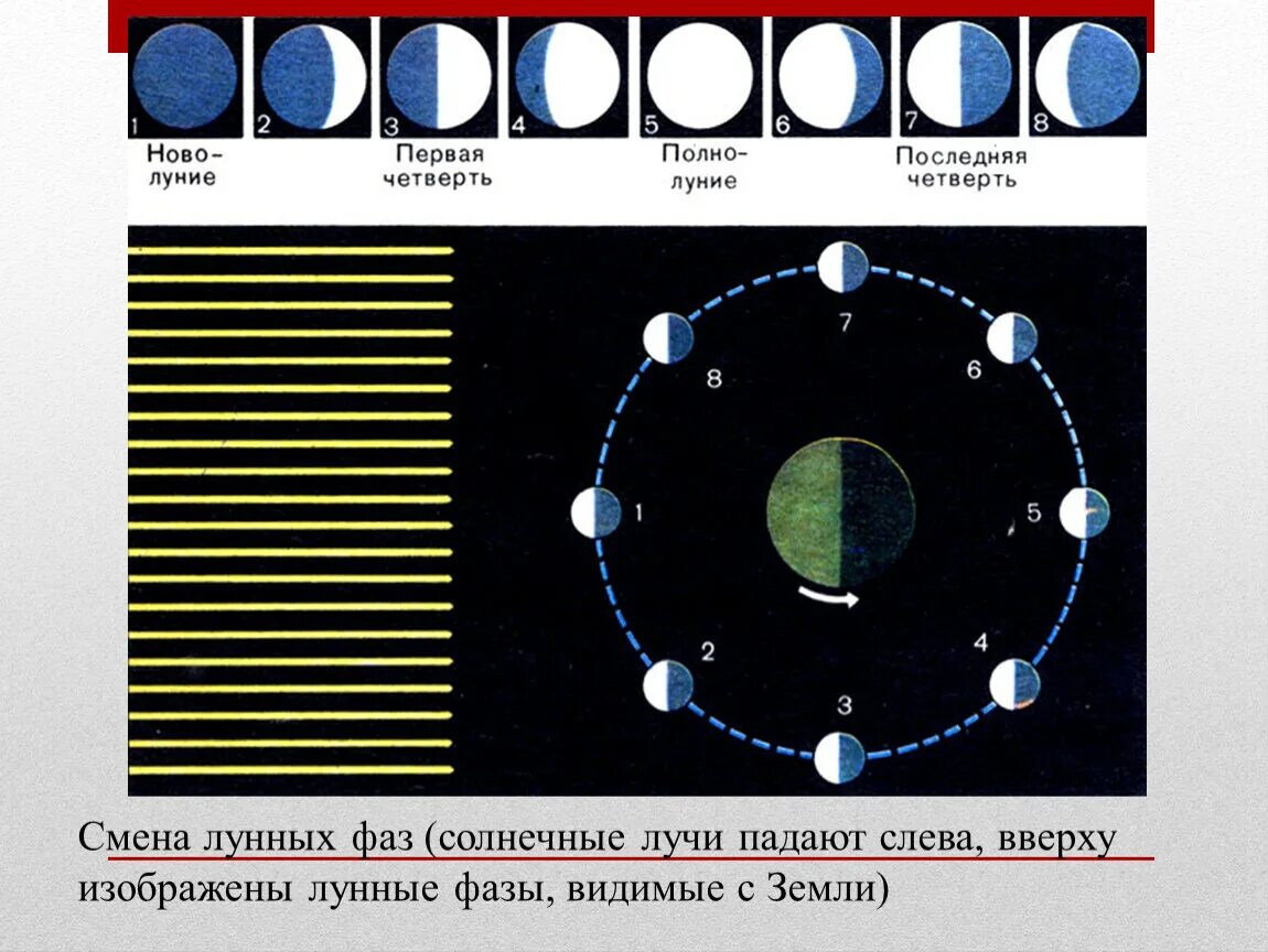 Фазы Луны. Смена лунных фаз. Движение Луны. Схема лунных фаз.