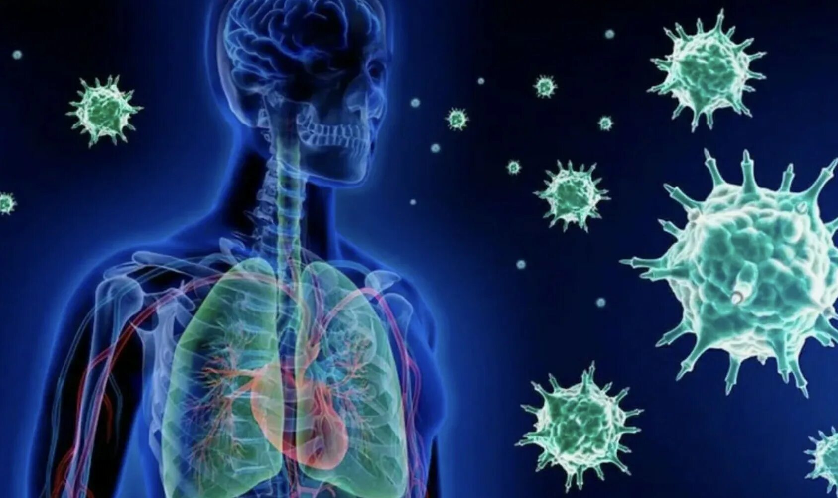 Artificial immune system. Artificial immune system