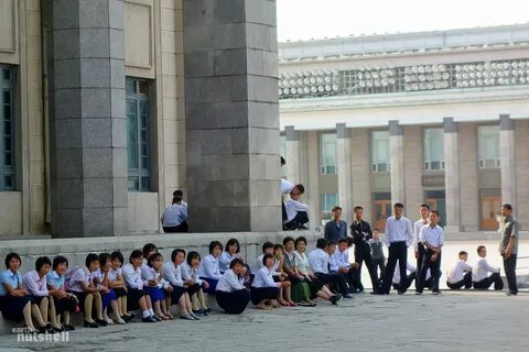 Северный студент