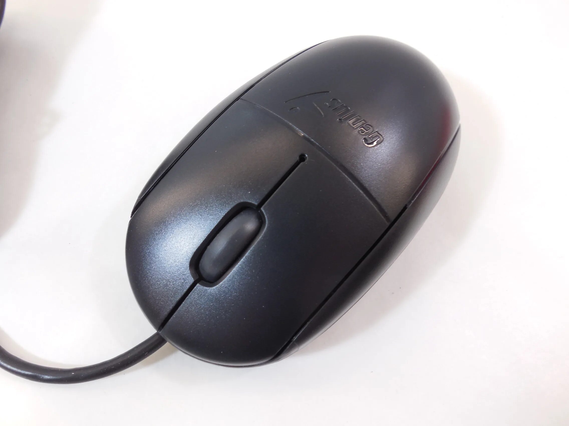 Мыши genius usb. Genius NETSCROLL 100x. Мышь Genius NETSCROLL 100x. Мышь Genius NETSCROLL 100. Genius Mouse NETSCROLL 100.