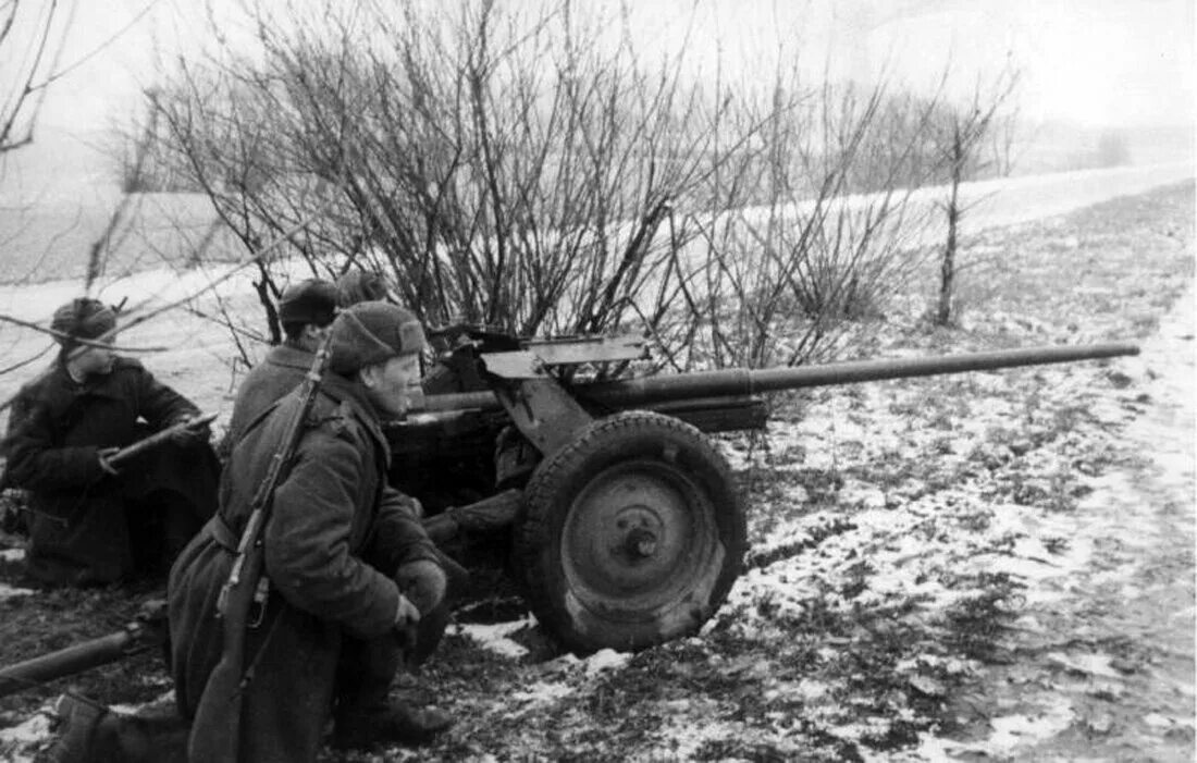 Фронт великой отечественной войны 41. Пушка 45 мм Сорокопятка. 45-Мм противотанковая пушка обр . 1942 Г. М-42. 45мм пушка м42. Пушка РККА 45 мм.