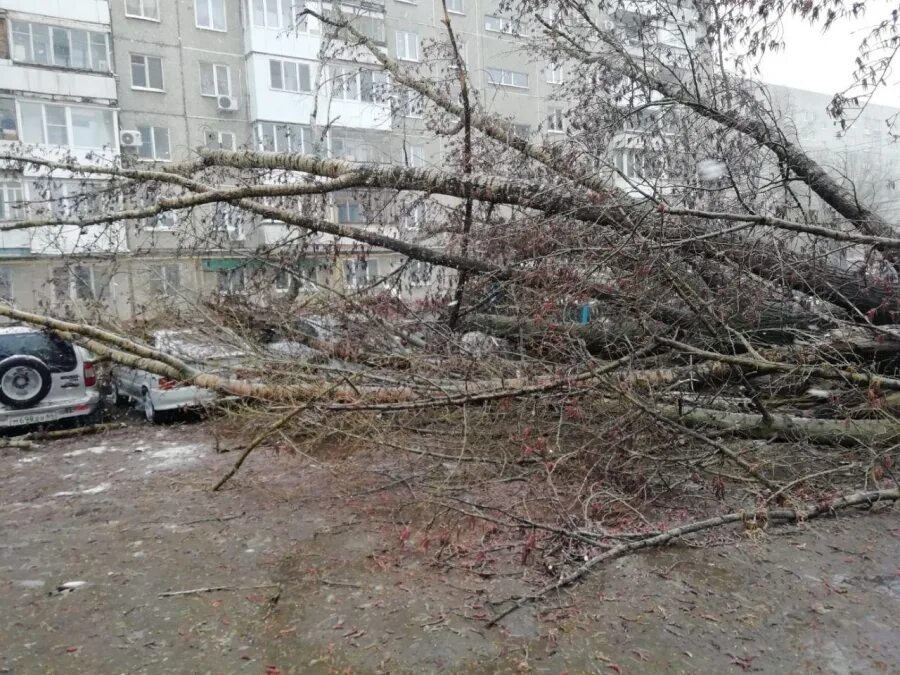 Сегодня был сильный. Ураган повалил деревья. Поваленные деревья в городе. Деревья повалило ураганным ветром. Сильный ветер в Саратове.