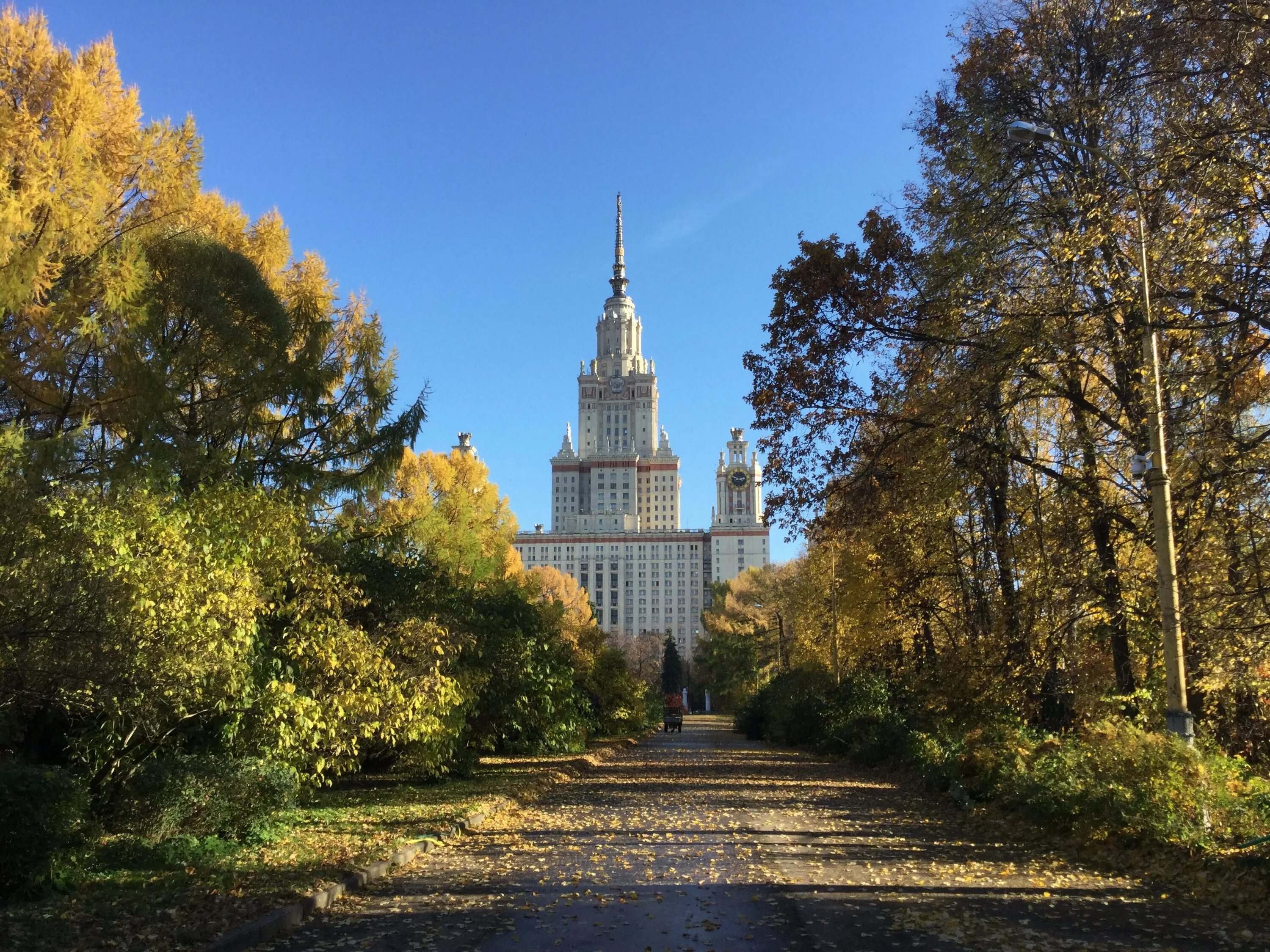 Покажи мгу. Ботанический сад МГУ Воробьевы горы. Ботсад МГУ Москва. Ботанический сад МГУ на Ленинских горах. Ботанический сад биологического факультета МГУ.