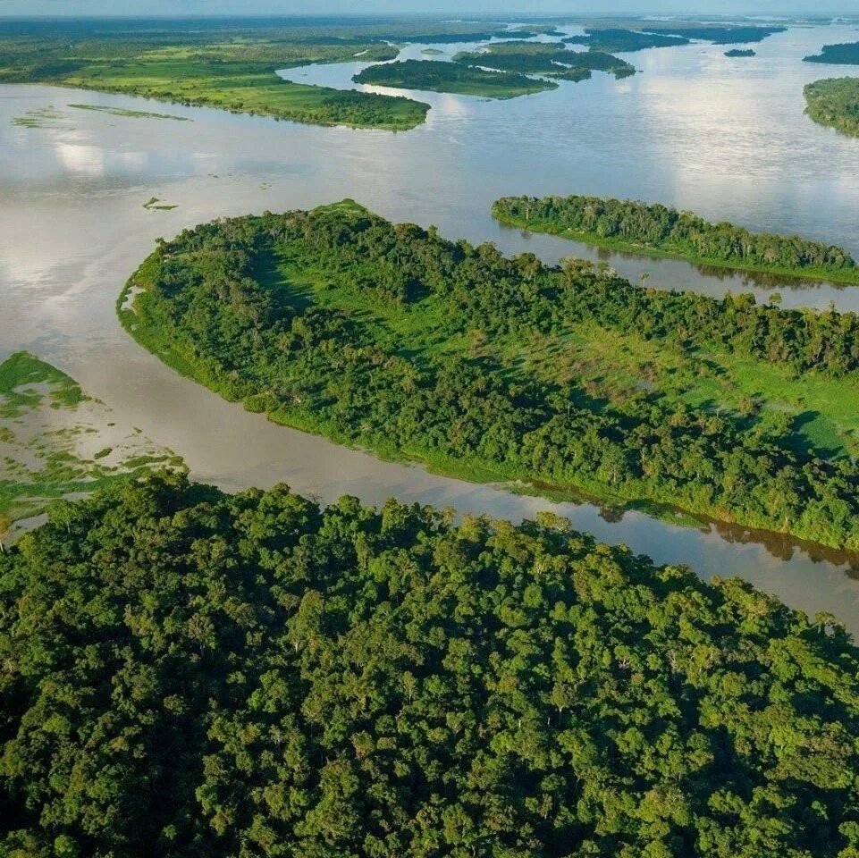 Река замбези африка. Зимбабве река лимпопо. Устье реки замбези. Река замбези мозамбик. Река конго в африке.