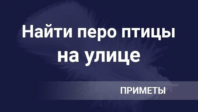 Примета найти на улице. Найти перо птицы на улице примета. Найти перо примета. К чему найти дома перо примета. Народные приметы найти перо птицы.