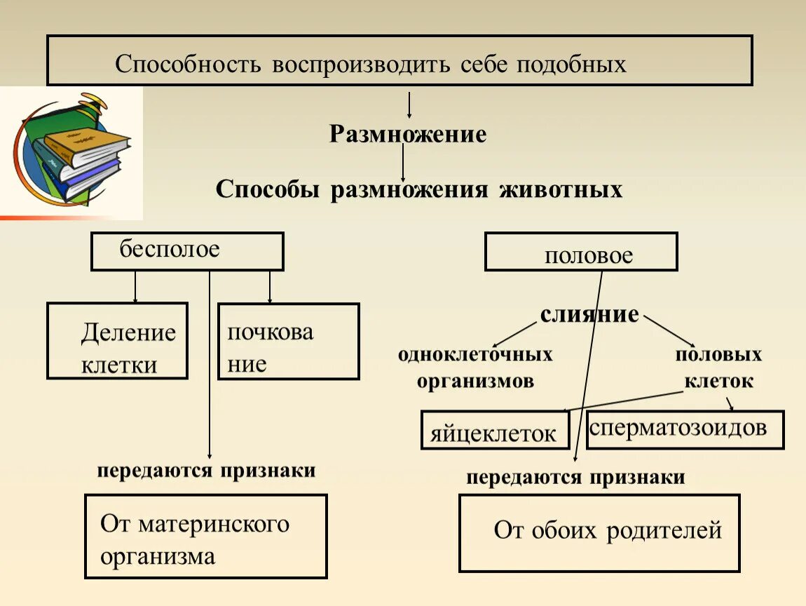 Какие два типа размножения различают в живой. Способы полового размножения животных. Формы полового размножения схема. Способы бесполого размножения у животных. Схема способы размножения.