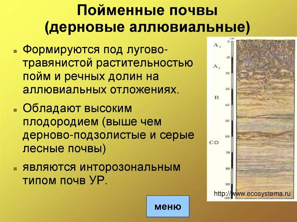 Серые бурые лесные почвы природная зона. Гумусовый Горизонт пойменных почв. Аллювиально-пойменные дерновые почвы.. Аллювиальные пойменные дерновые почвы профиль. Почвенный разрез пойменных почв.