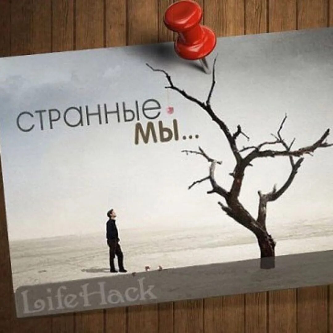 Как странно мы живем