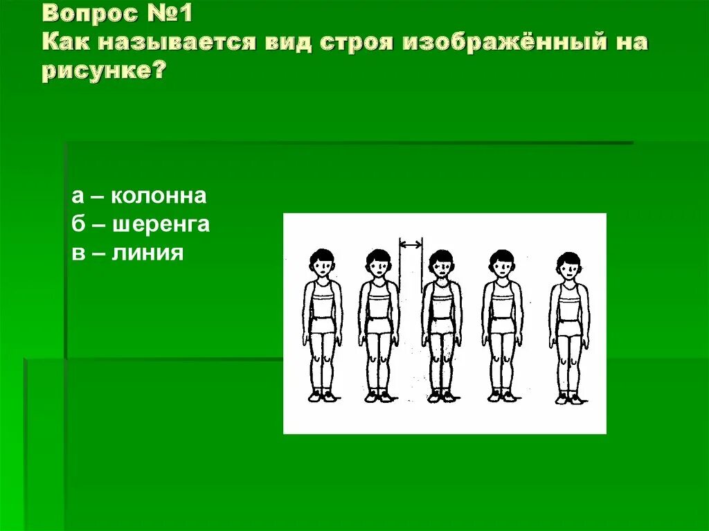 Kak 1. Как называется вид строя изображённый на рисунке. Вид строя шеренга. Вид строя колонна шеренга линия. Вид строя линия.