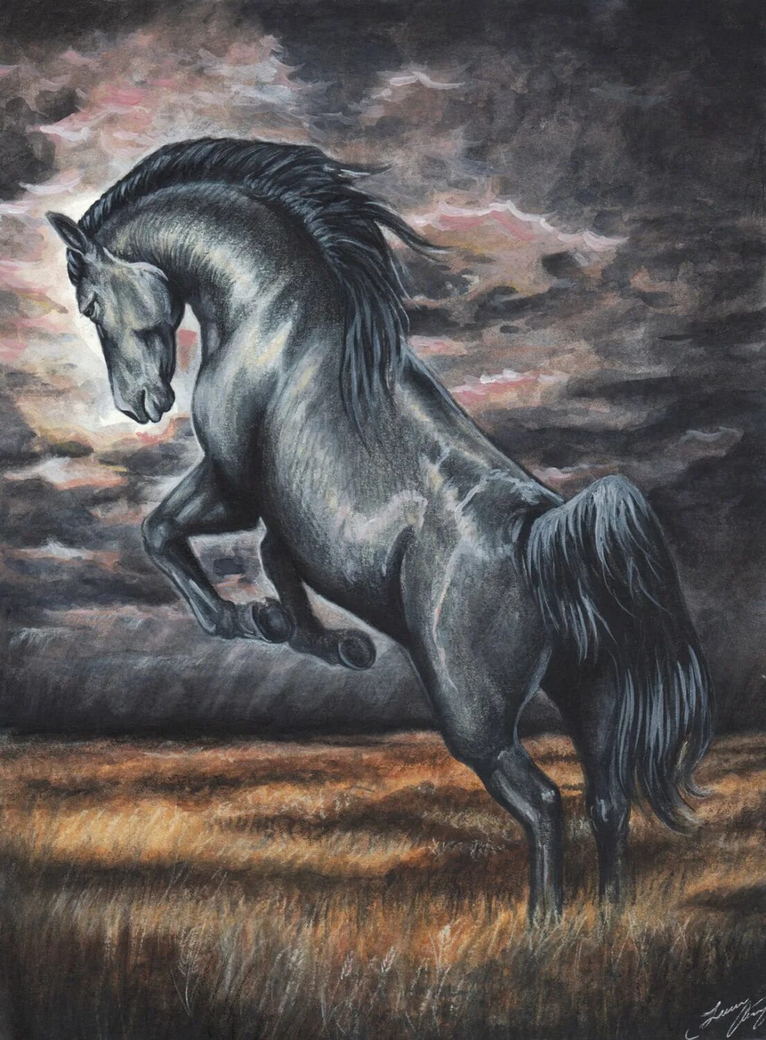 Книга черный конь. Лошадь Мустанг иноходец. Вороной Мустанг иноходец. Вороной Мустанг лошадь. Черный Мустанг конь.