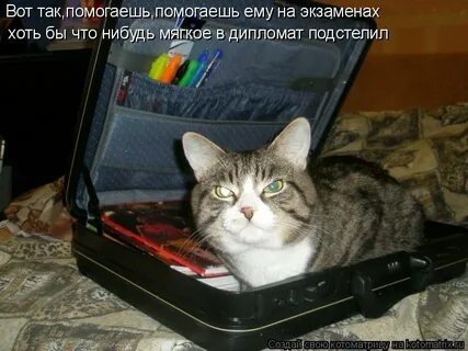 Кропин не сказал ни да ни нет