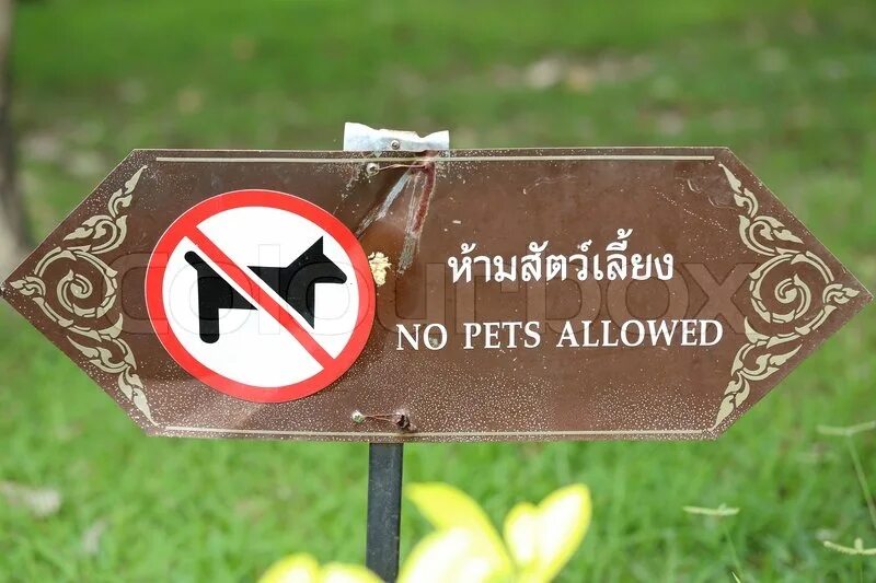 Property is not allowed. Not allowed. Not allowed sign. Country not allowed. Not allowed sign PNG.