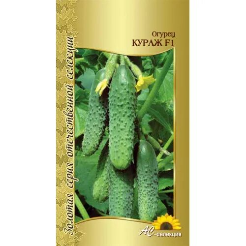 отзывы огурцов кураж. огурец кураж гавриш.