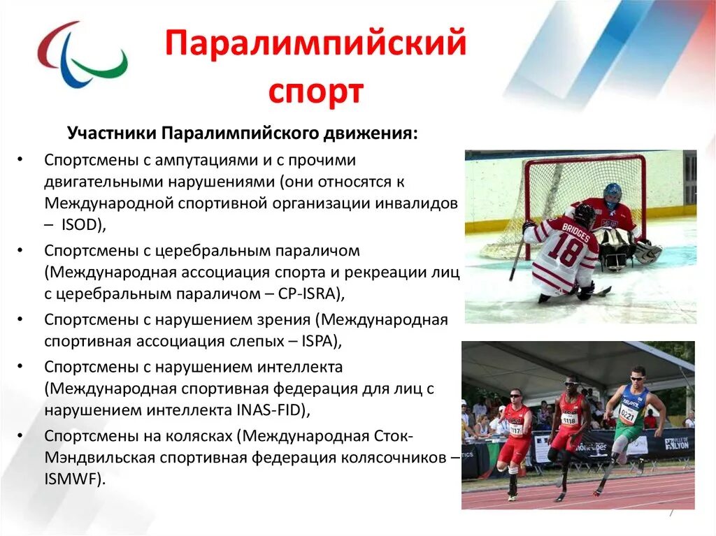 Виды зимних видов спорта. Международный вид спорта. Спортивный коллаж. Значки видов спорта. Спорт коллаж.