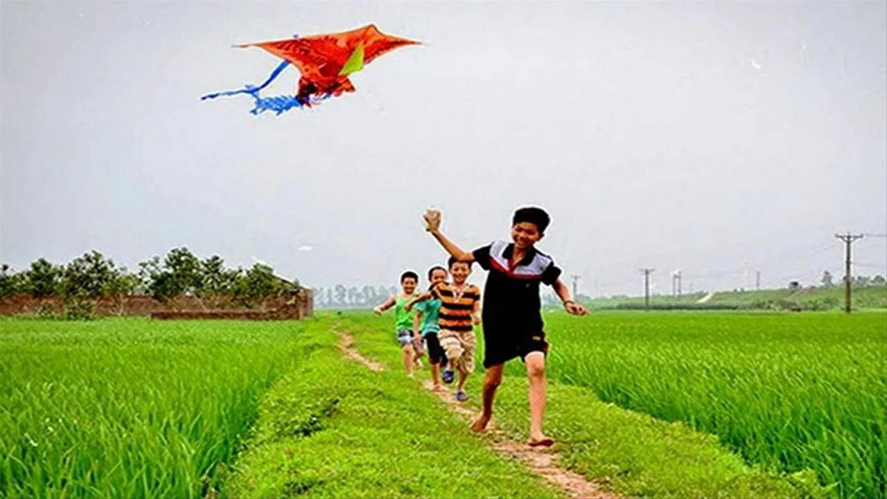 Ve que. Hinh anh con tho. Ve que. Природа в картинках. Ve que.