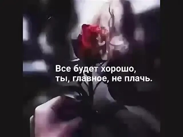 Не плачь моя любимая песня