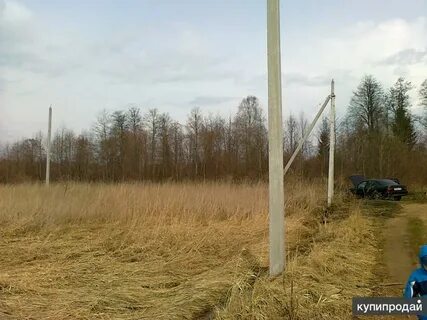 Снт колос московская область