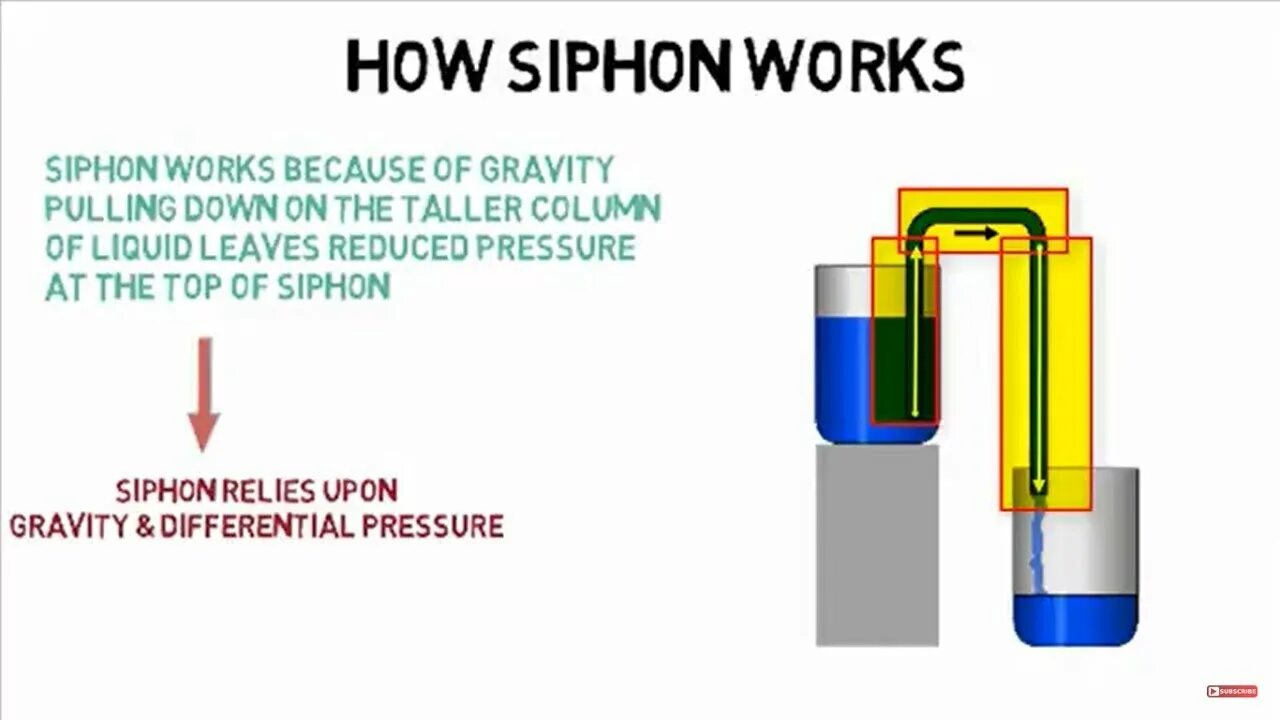 How to get siphon. Siphon meaning. aluminum can with a siphon. what is siphon.