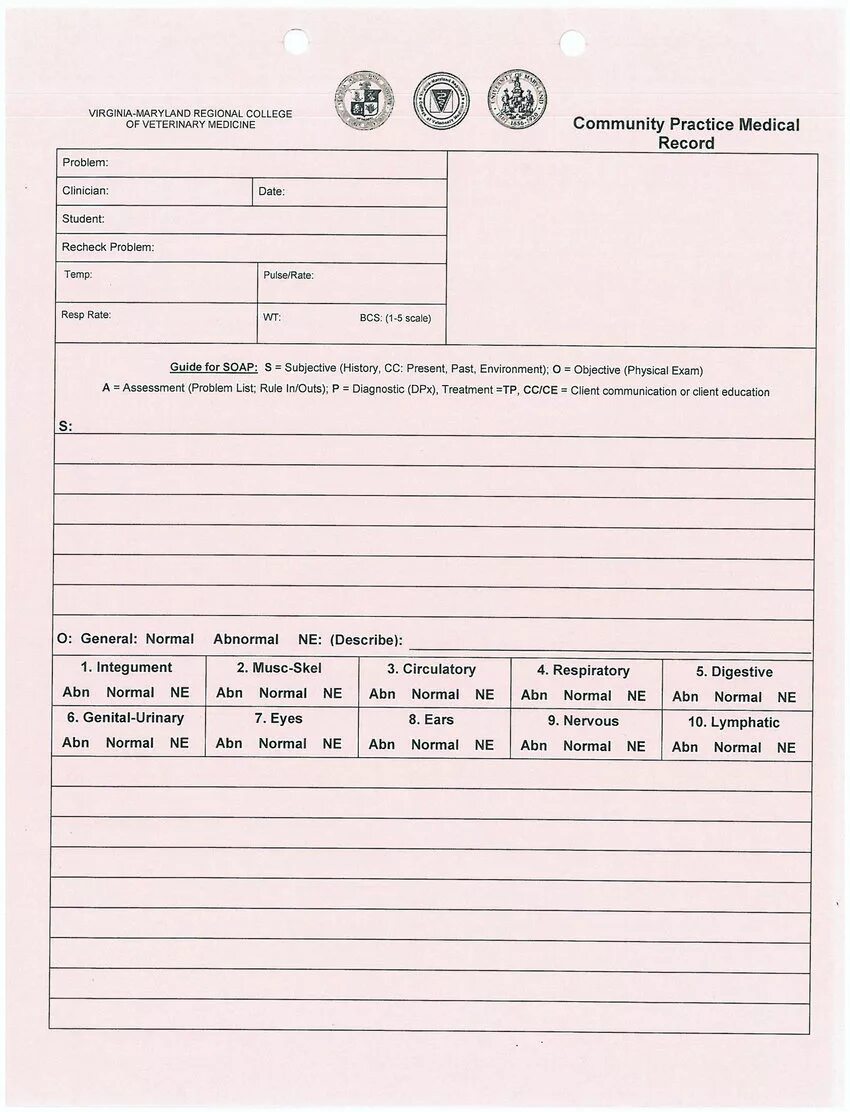 Record form. Медицинская карта питомца для детей. medical record example. virginia maryland regional college of veterinary medicine. medical record example for kids.