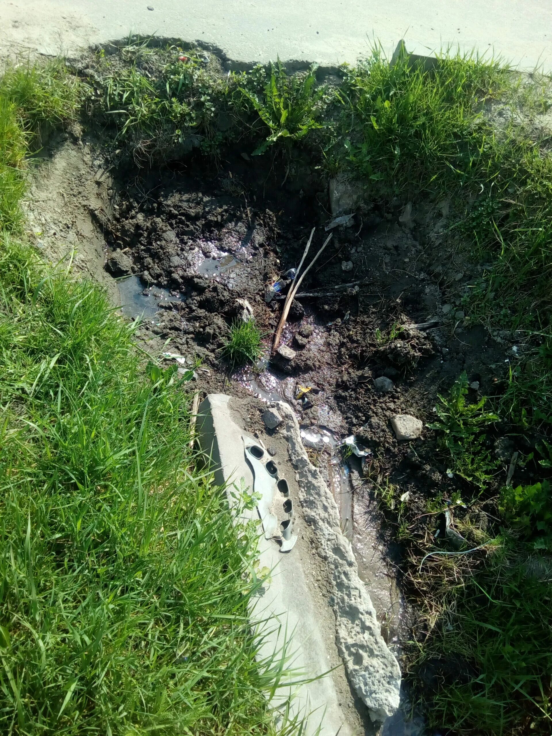 Сураж новости сегодня последние новости сегодняшние. Сураж мост пролетарий. Праздник в городе сураже брянской области. Сураж сегодня. Детский сад аистенок брянск.