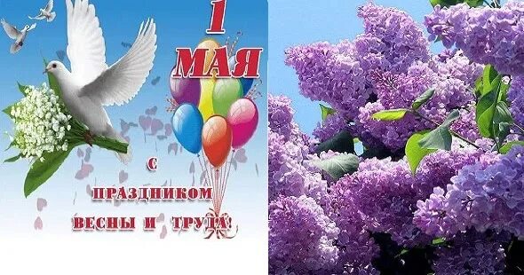 Май май 30 минут. День весны и труда. Здравствуй май Цветущий. Здравствуй май Цветущий май. Ну Здравствуй май.