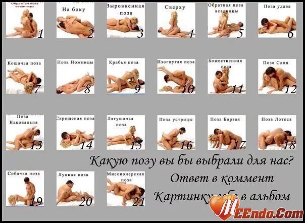 Позы Секса Читать