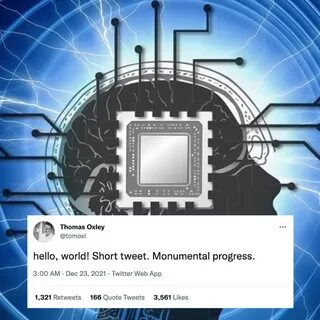 Чипа 2023