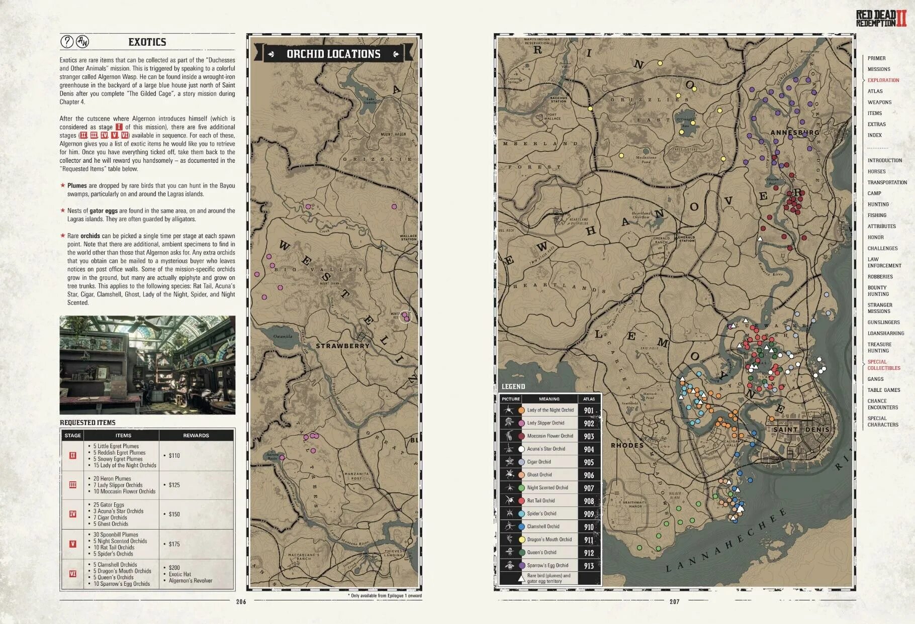 Rdr 2 lady slipper orchid. Рдр 2 леди ночи. Red dead redemption 2 карта. Рдр 2 леди ночи. Рдр 2 орхидея ракушка.