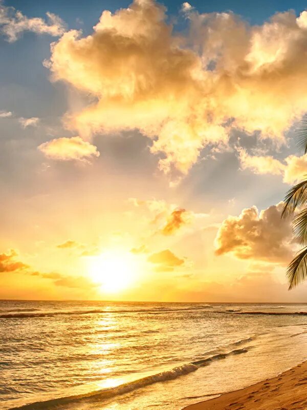 Мираж летний. Мираж лето. Небо Карибы закат небо. Пляж закат фрукты. Stunning Tropical Sunrise.
