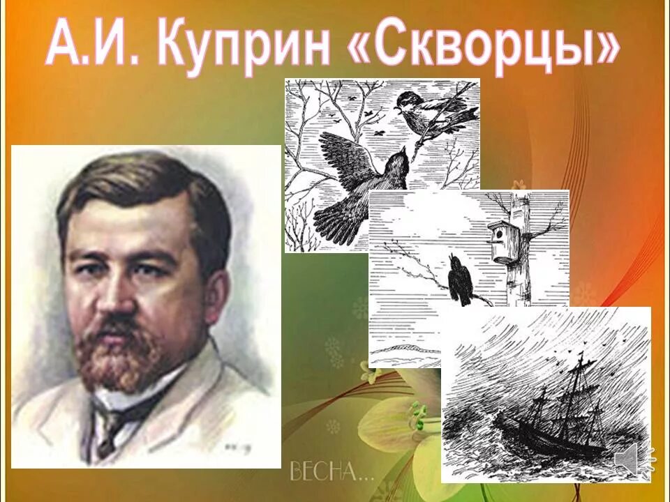 Читательский дневник куприн скворцы. Куприн скворцы. Иллюстрация по произведению скворцы Куприн. Рассказ Куприна скворцы.