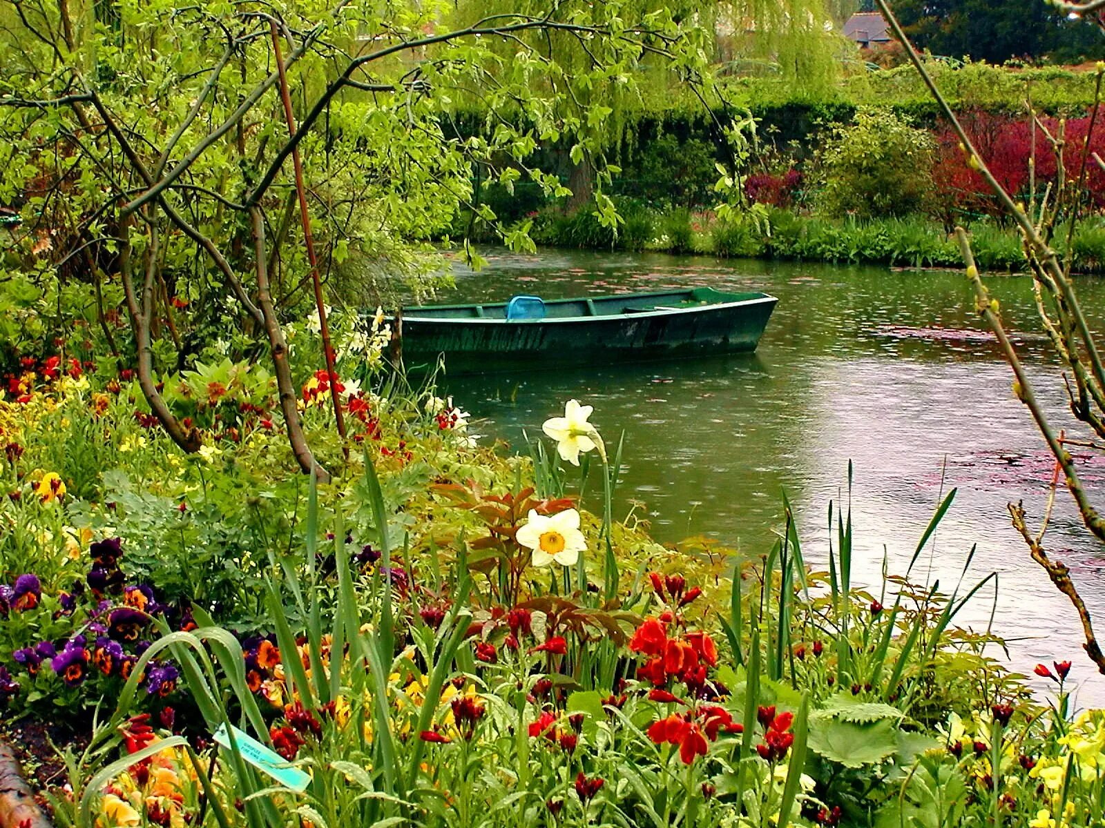 Лодка на пруду. Водоем с цветами. Сады на реке. Лодка в кувшинках. Сады реки озера
