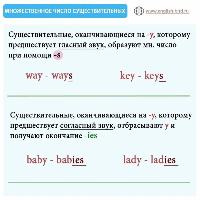 Правило образования множественного числа в англ. Образование мн.числа сущ в английском. Множественное число существительных в английском правило. Множественное число имен существительных в англ яз. New множественное число