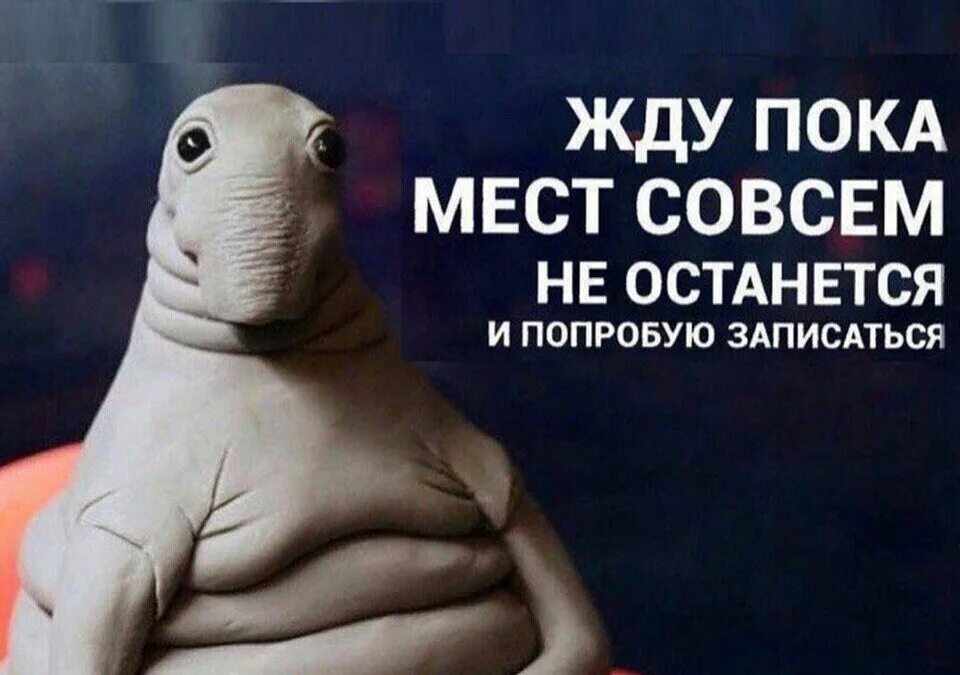 Ждун пока мест не останется и попробую записаться. Лежачий ждун. Ждун с надписью жду. Фразы ушел по английски. Ждун подругу.