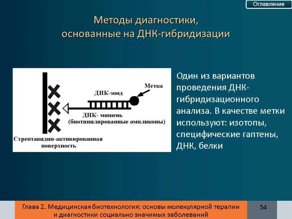 Фрагментация днк методы. Метод гибридизации ДНК. Метод ДНК ДНК гибридизации. Методы исследования ДНК. Методы молекулярной гибридизации ДНК-зонд.