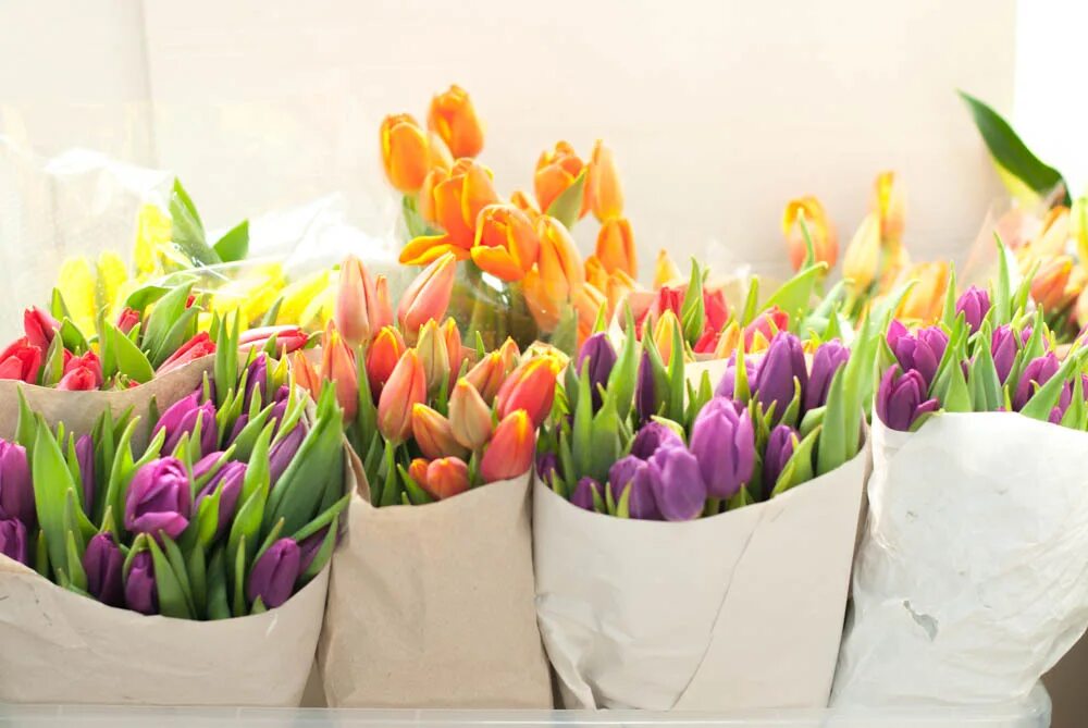 цветы фрязино