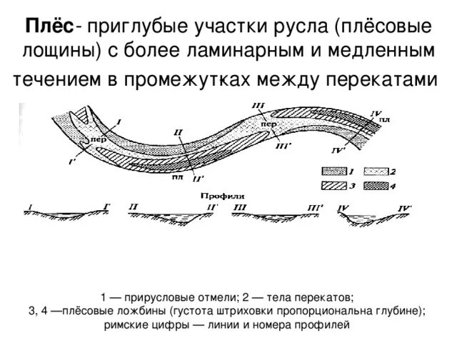 План участка русла меандрирующей реки. Плёс реки схема. Плесы и перекаты реки. Плесы и перекаты схема. В течении реки много изгибов