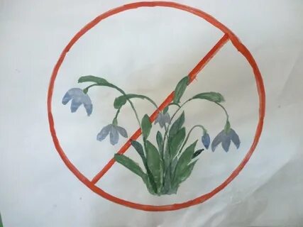 Рисунок не рвите цветы