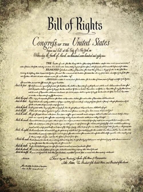 The bill of rights