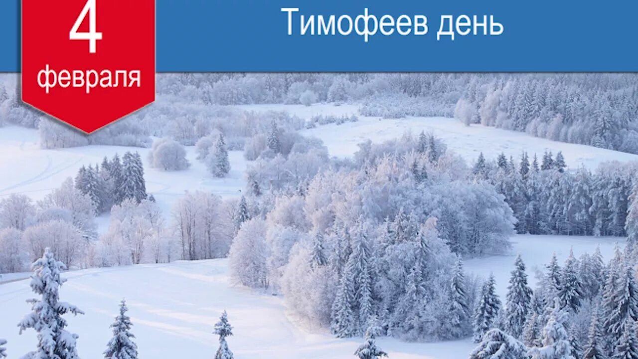 04 Февраля Тимофеев день. Четверо февраля