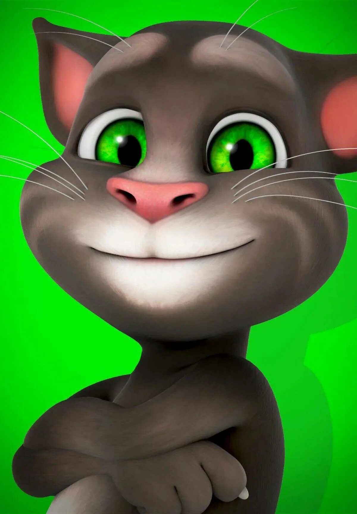 Говорящий том сильный. Talking Tom. Talking Tom 2010. Talking Tom Cat. Джинджер outfit7.