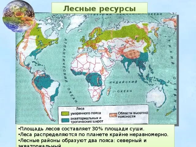 Страны без лесов. Северный Лесной пояс и Южный Лесной пояс на карте. Лесные пояса планеты карта. Северный Лесной пояс на карте.